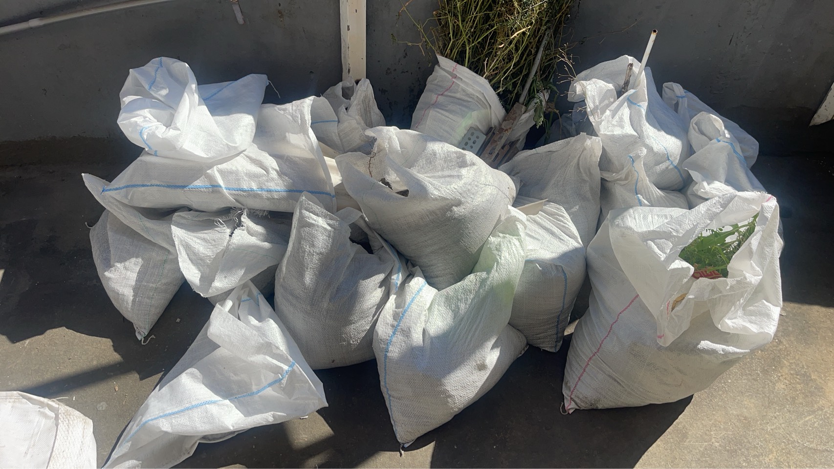 頂樓花圃整理廢棄物清運